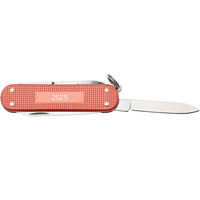 Фото Складной нож Victorinox Classic SD Stone Red 0.6221.L25