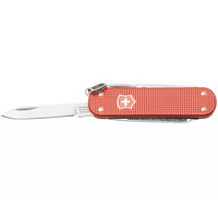 Фото Складной нож Victorinox Classic SD Stone Red 0.6221.L25