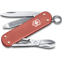 Фото Складной нож Victorinox Classic SD Stone Red 0.6221.L25